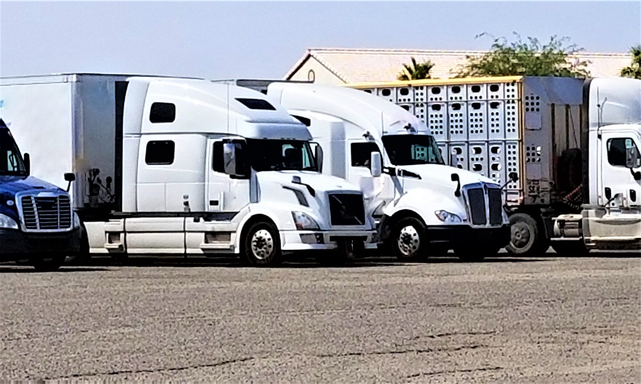 What alley parking in semi truck?
